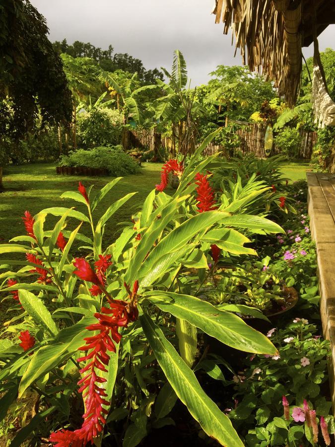Island Home Uturoa Bagian luar foto